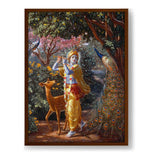Muralidhar - Framed Canvas