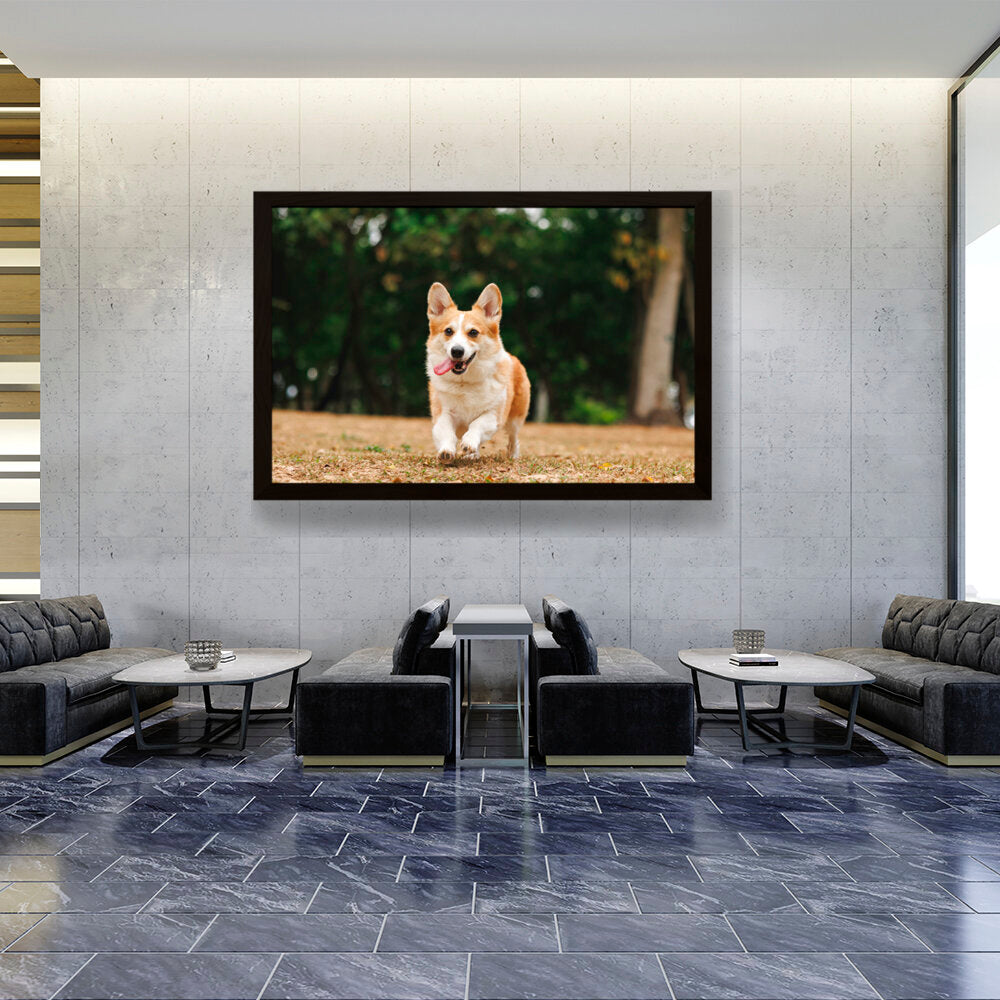 Cute Welsh Corgi Dog - Framed Canvas