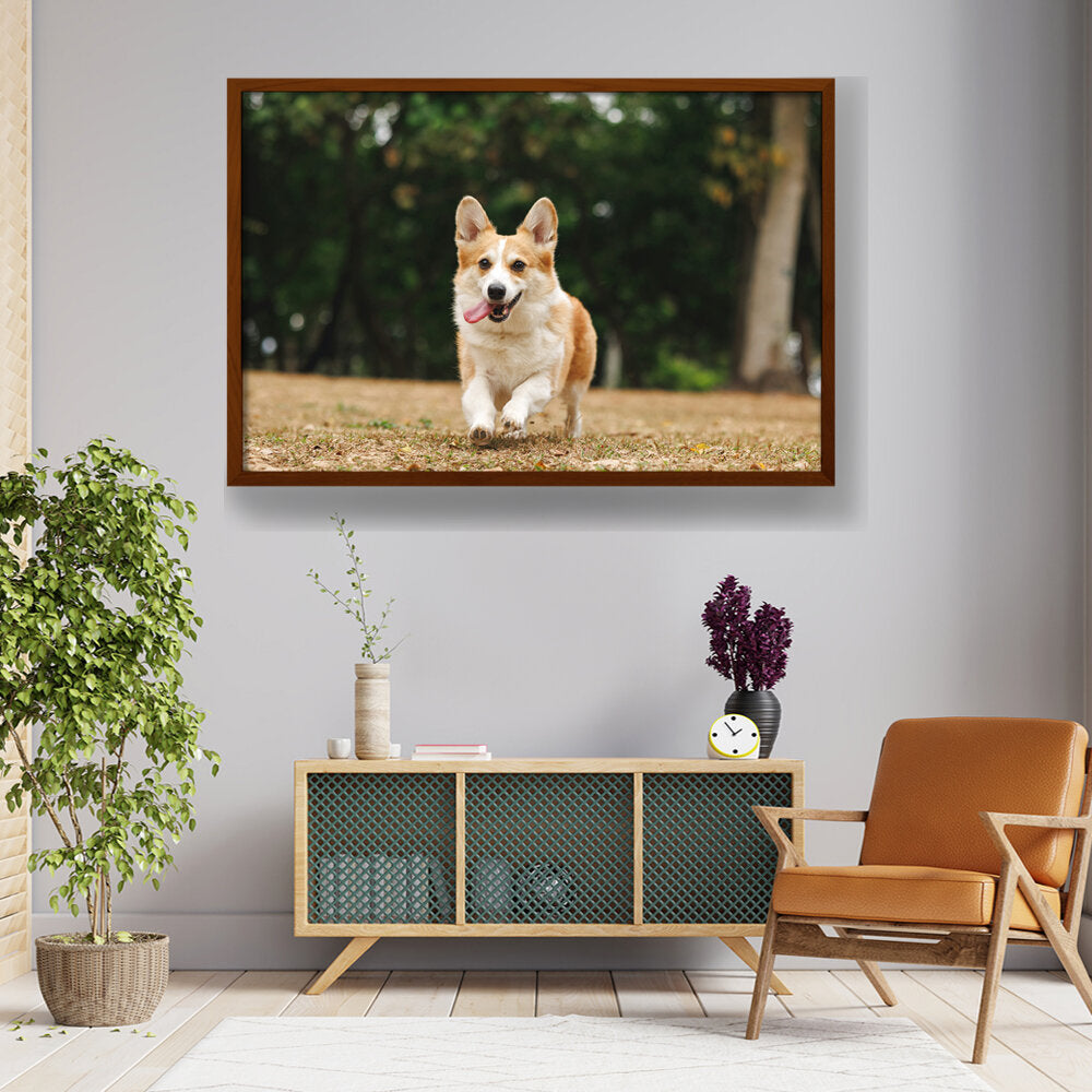 Cute Welsh Corgi Dog - Framed Canvas