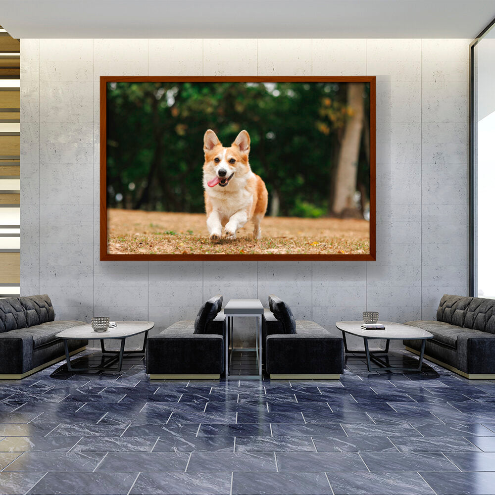 Cute Welsh Corgi Dog - Framed Canvas