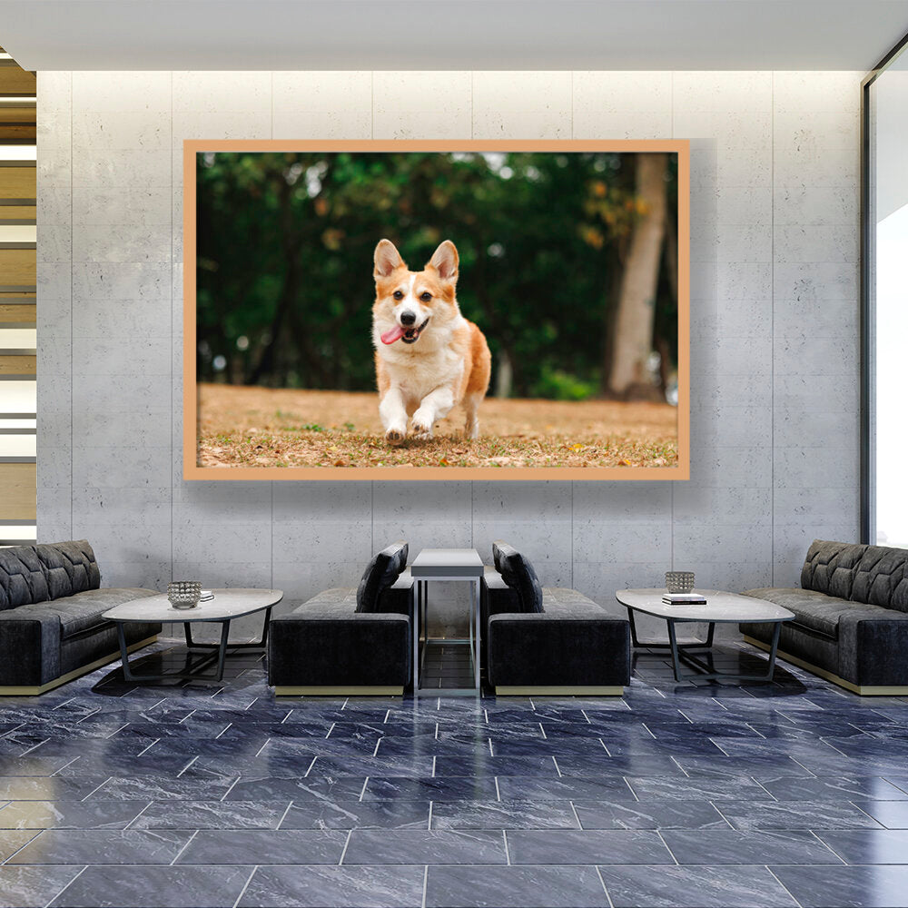 Cute Welsh Corgi Dog - Framed Canvas