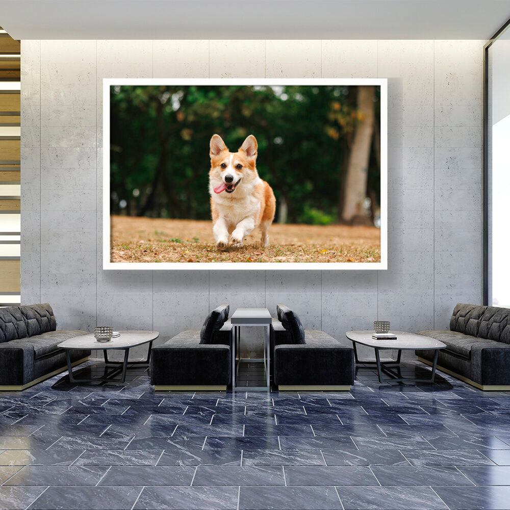 Cute Welsh Corgi Dog - Framed Canvas