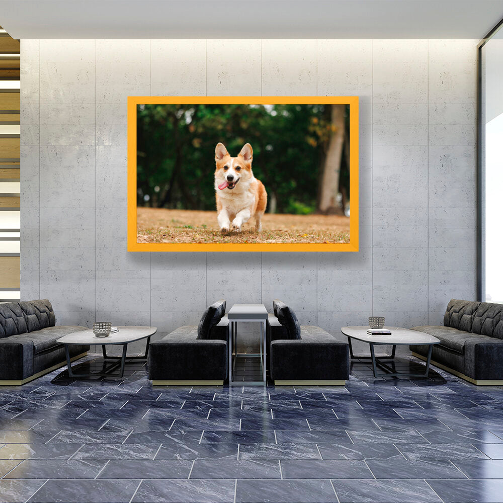 Cute Welsh Corgi Dog - Framed Canvas