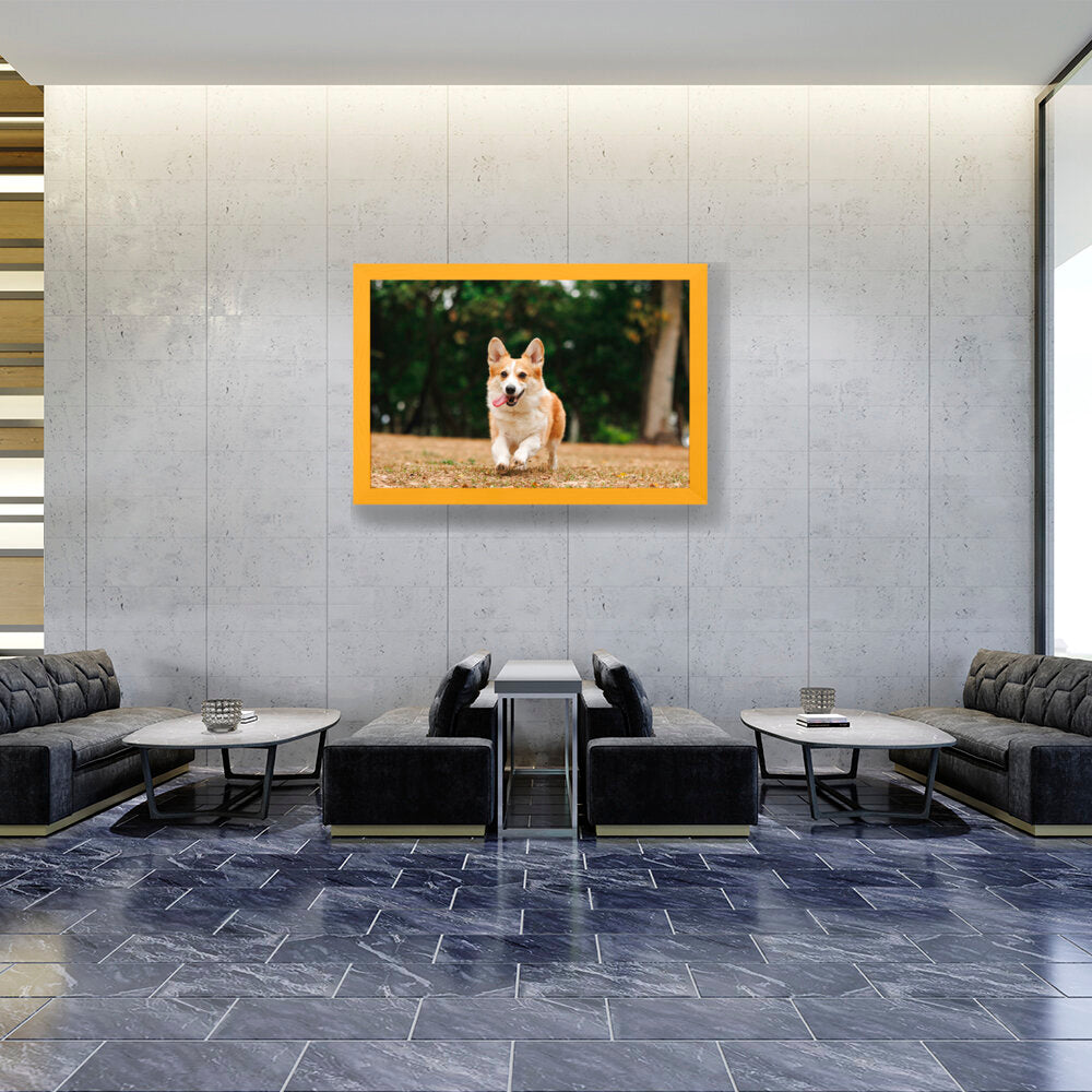 Cute Welsh Corgi Dog - Framed Canvas