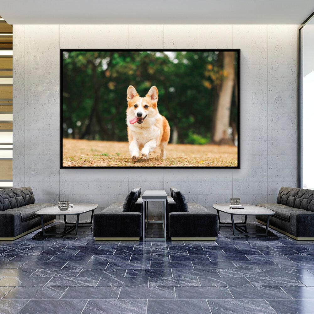 Cute Welsh Corgi Dog - FLOATING FRAME