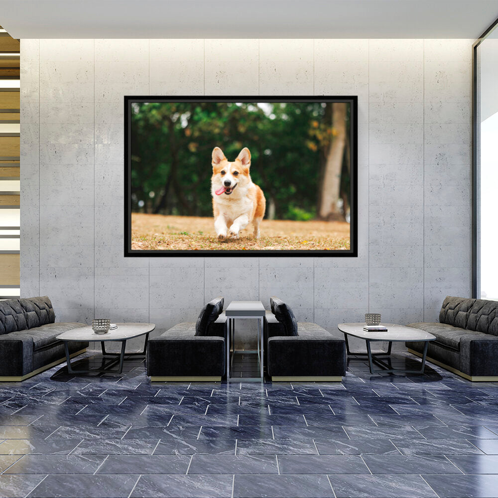 Cute Welsh Corgi Dog - FLOATING FRAME