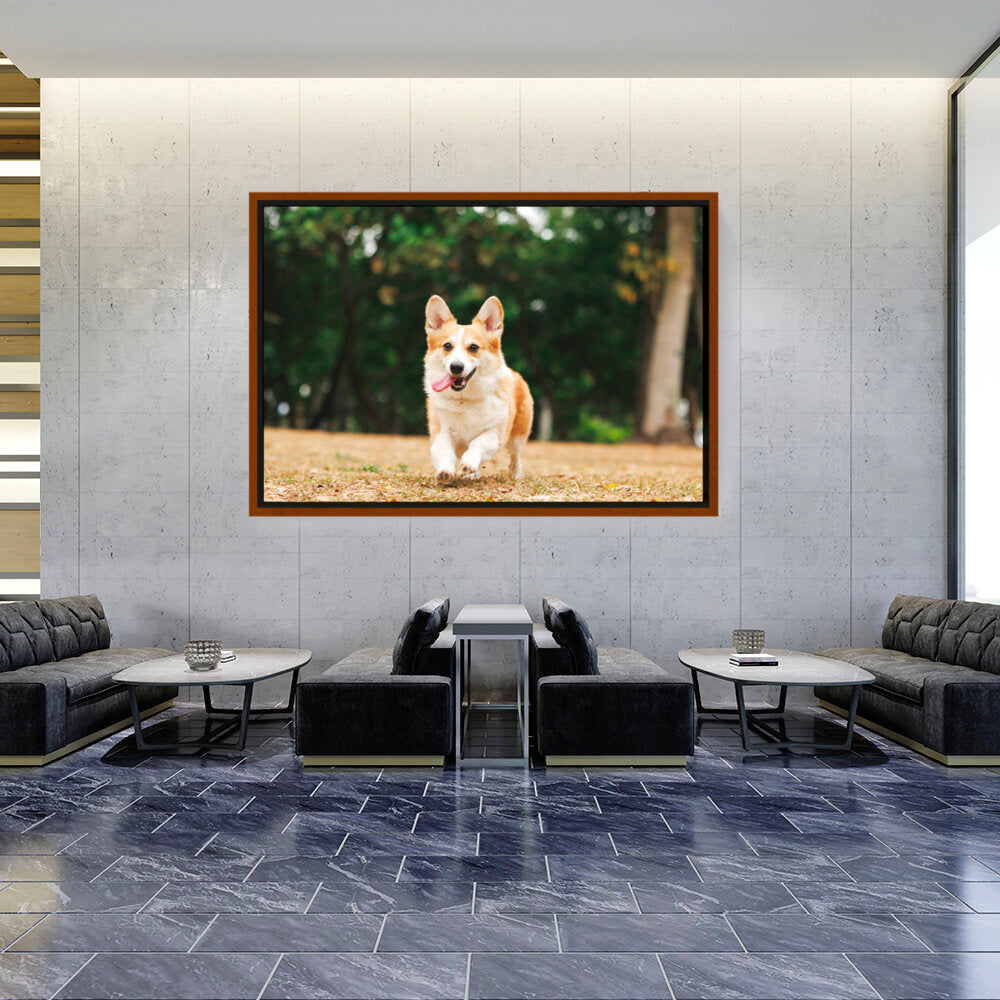 Cute Welsh Corgi Dog - FLOATING FRAME