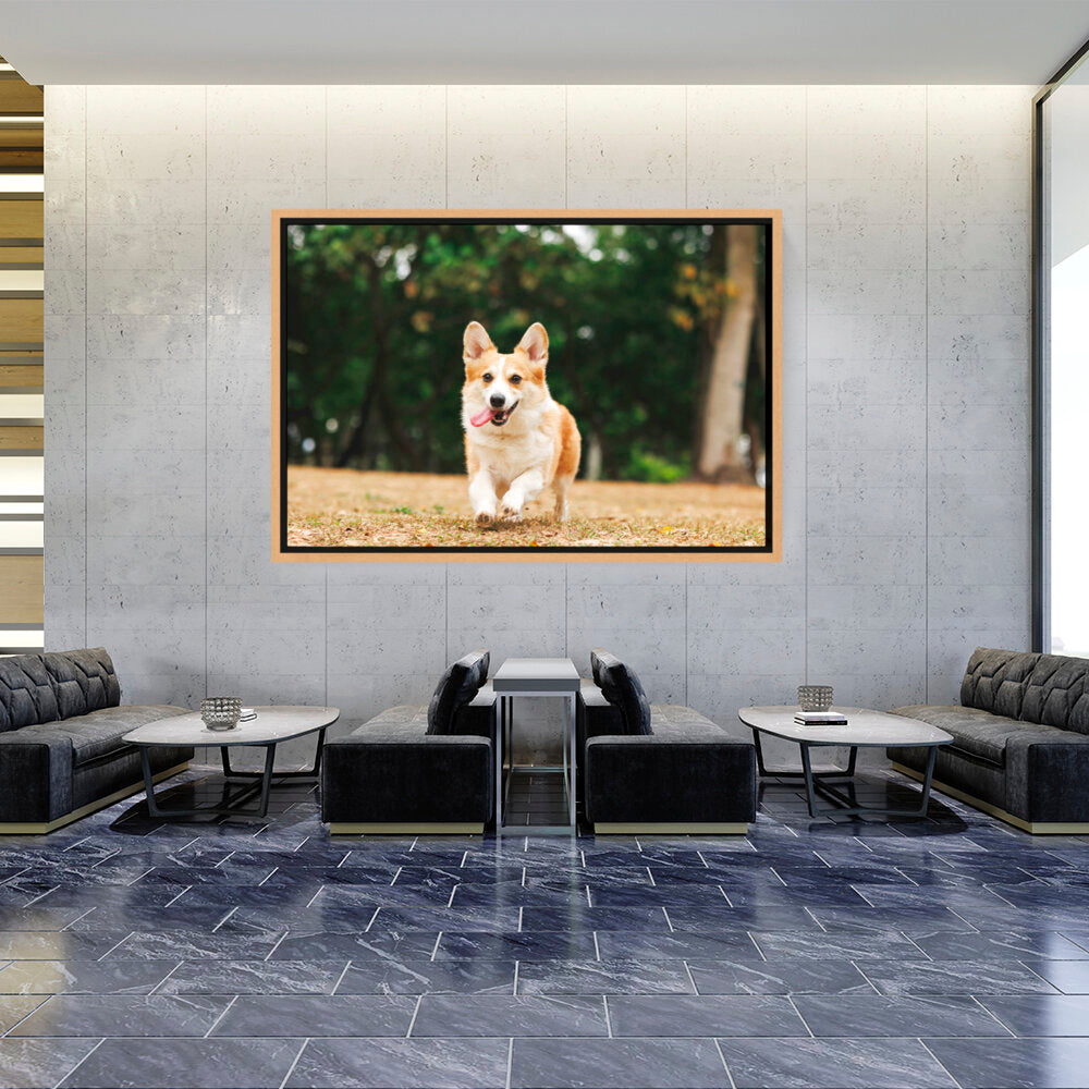 Cute Welsh Corgi Dog - FLOATING FRAME