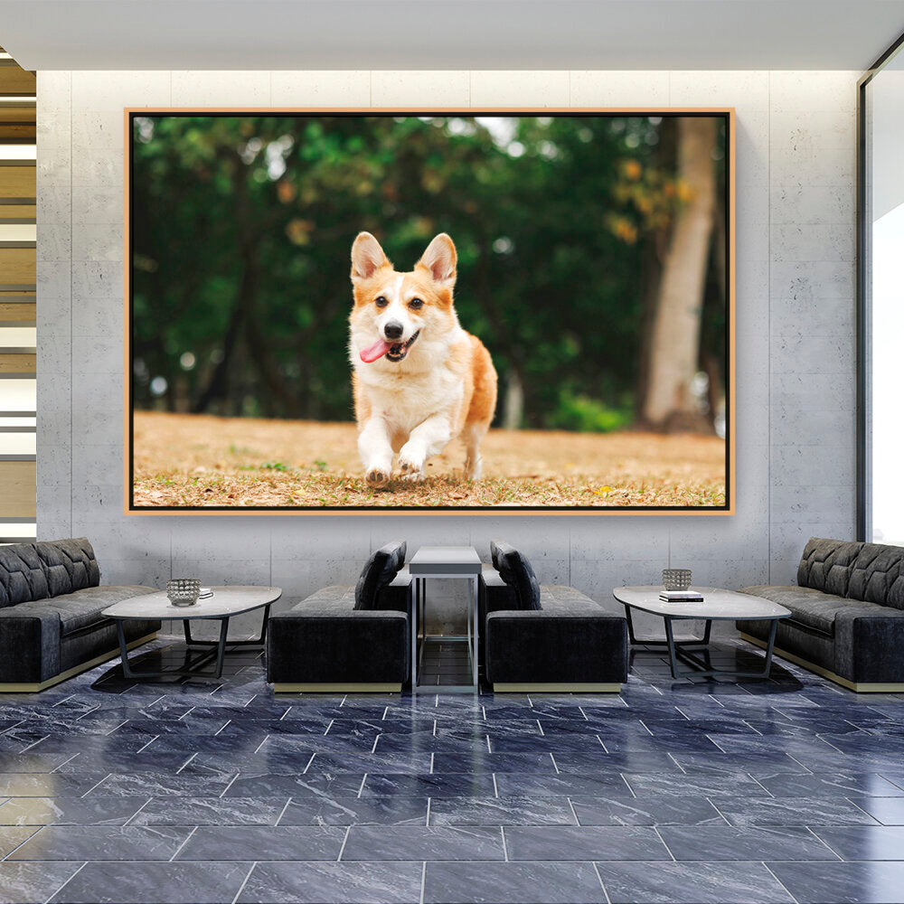 Cute Welsh Corgi Dog - FLOATING FRAME