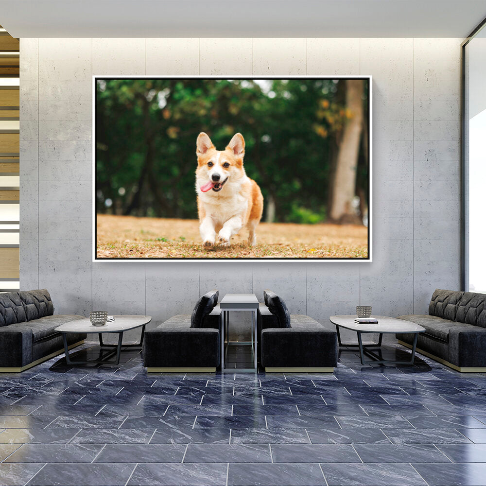 Cute Welsh Corgi Dog - FLOATING FRAME