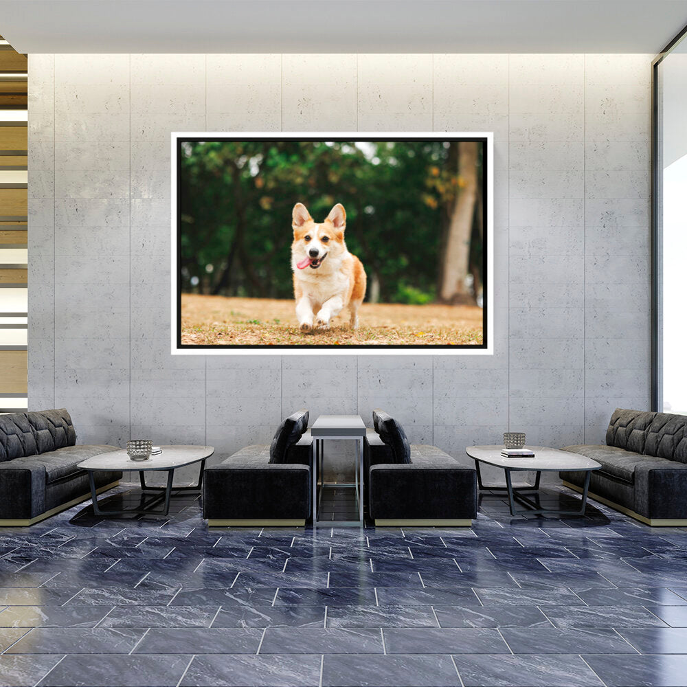Cute Welsh Corgi Dog - FLOATING FRAME