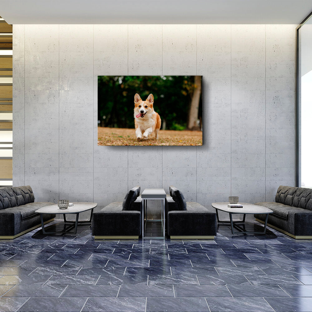 Cute Welsh Corgi Dog - Wall Canvas