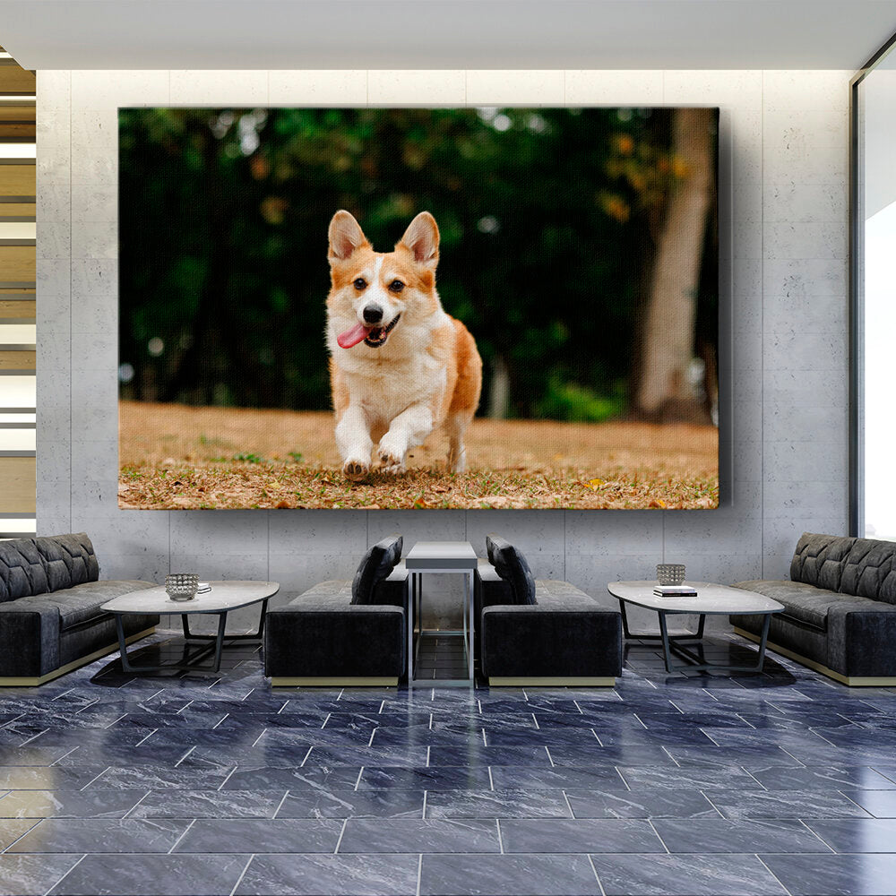 Cute Welsh Corgi Dog - Wall Canvas