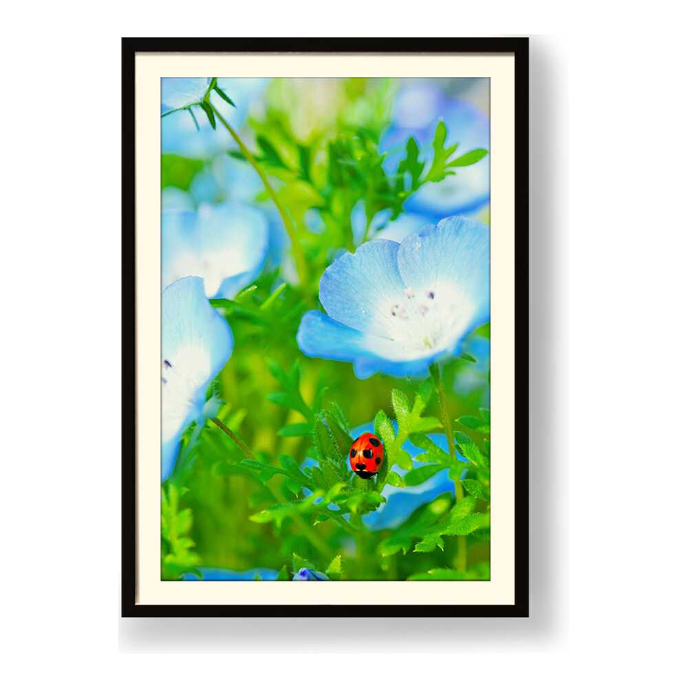 Red And Black Ladybug - WALL MOUNT FRAME