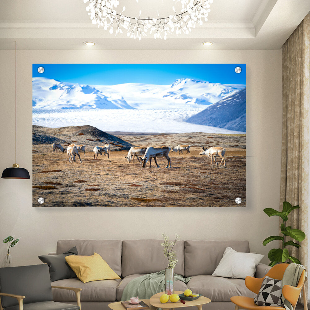 Iceland In October - Acrylic Wall Photo