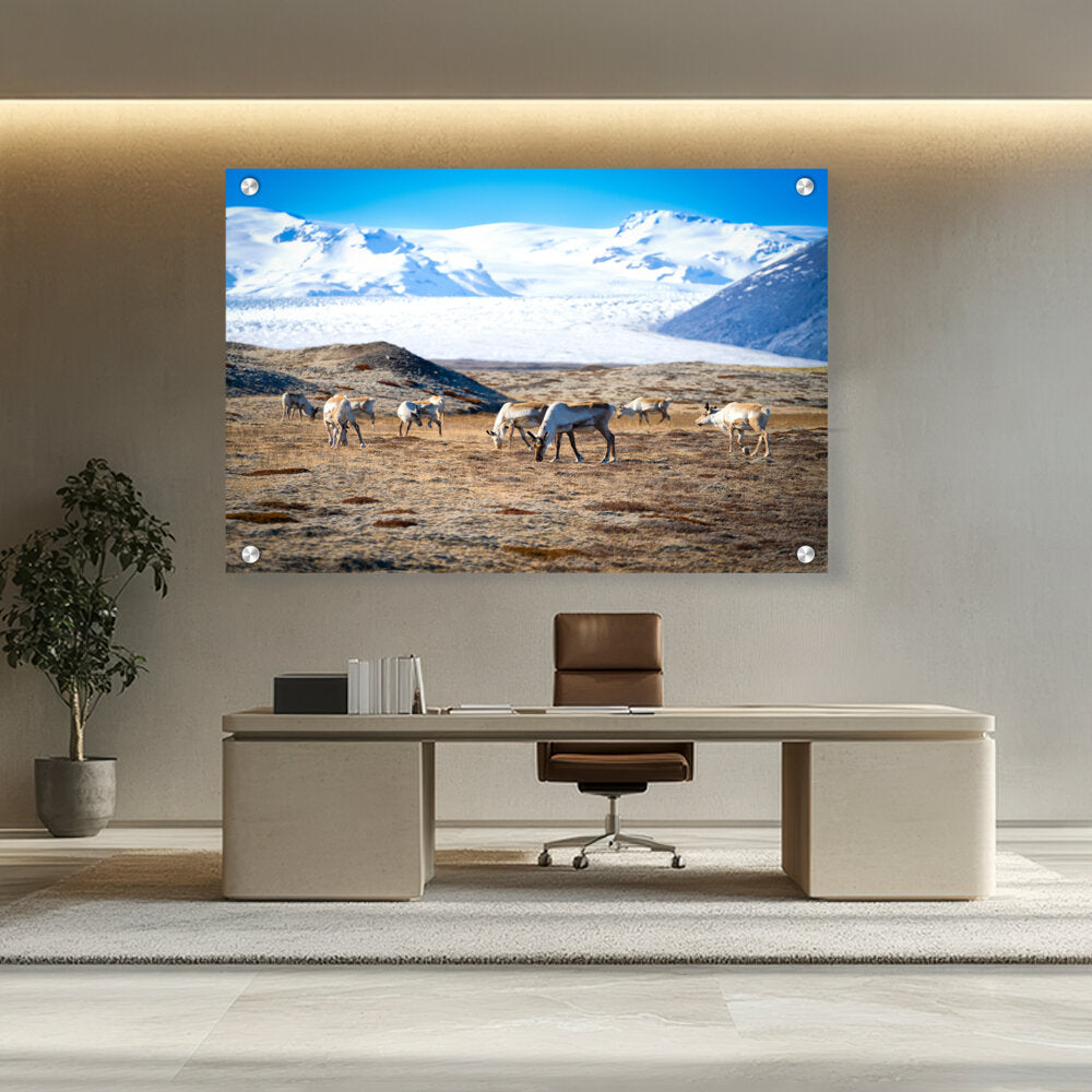 Picasoul - Artist - Iceland In October - Acrylic Wall Photo