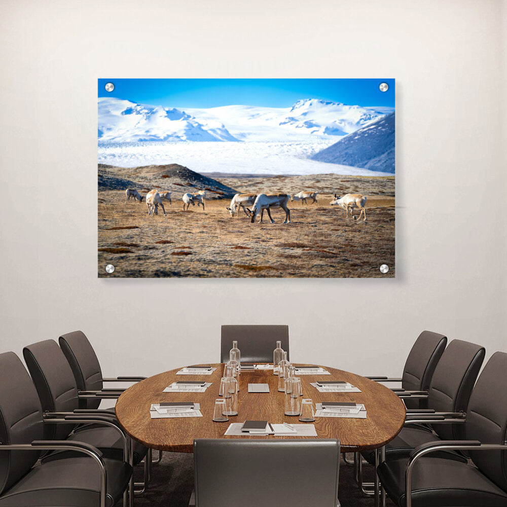 Iceland In October - Acrylic Wall Photo