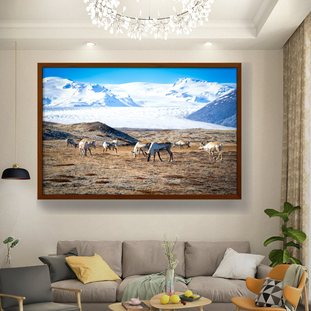 Iceland In October - Framed Canvas