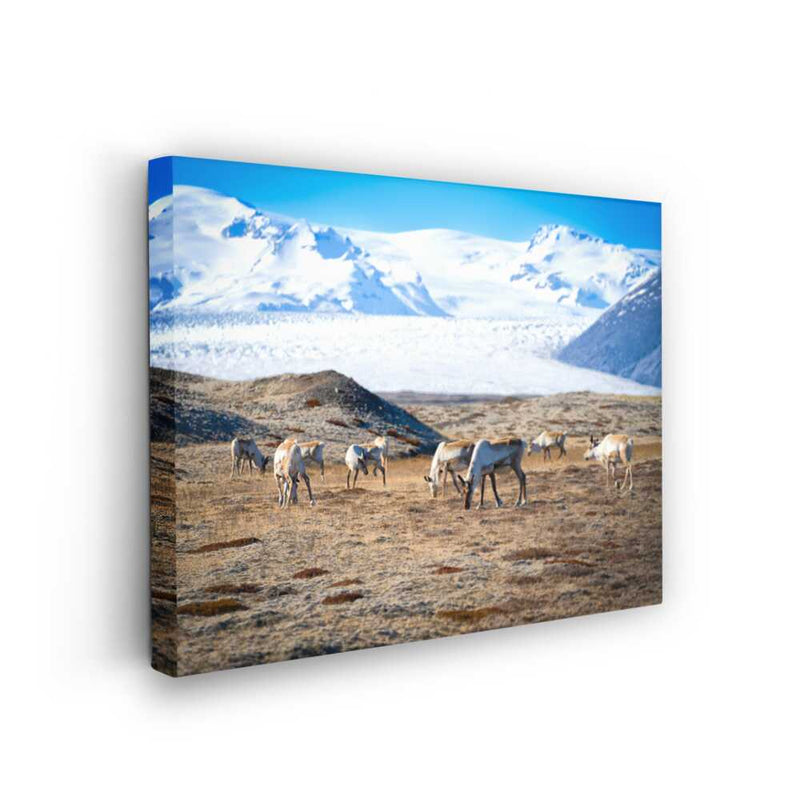 Picasoul - Picasoul Curated - Iceland In October - Wall Decor