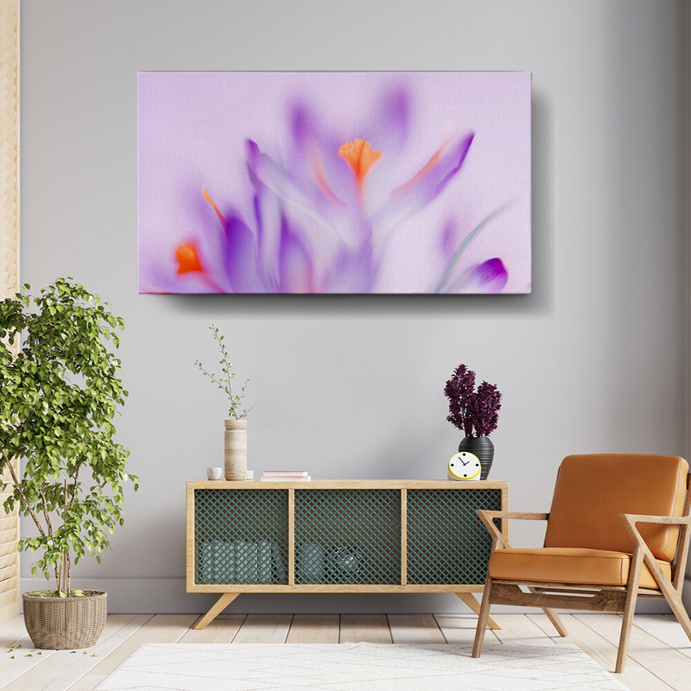 Purple And Orange Flowers