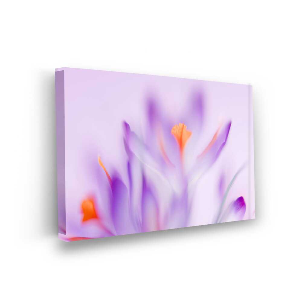 Picasoul - Picasoul Curated - Purple And Orange Flowers - Wall Decor