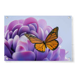 A Bunch Of Butterflies - Acrylic Wall Photo