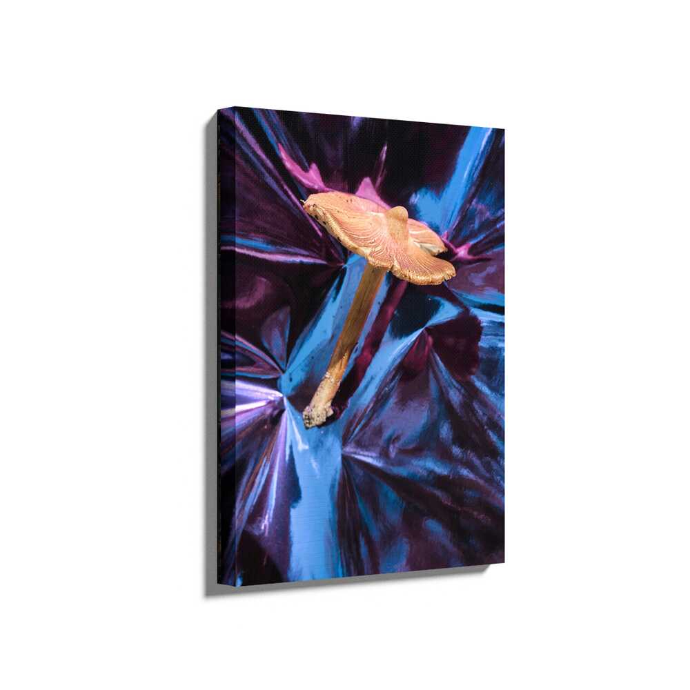 Picasoul - Picasoul Curated - Flower On A Purple Cloth - Wall Decor