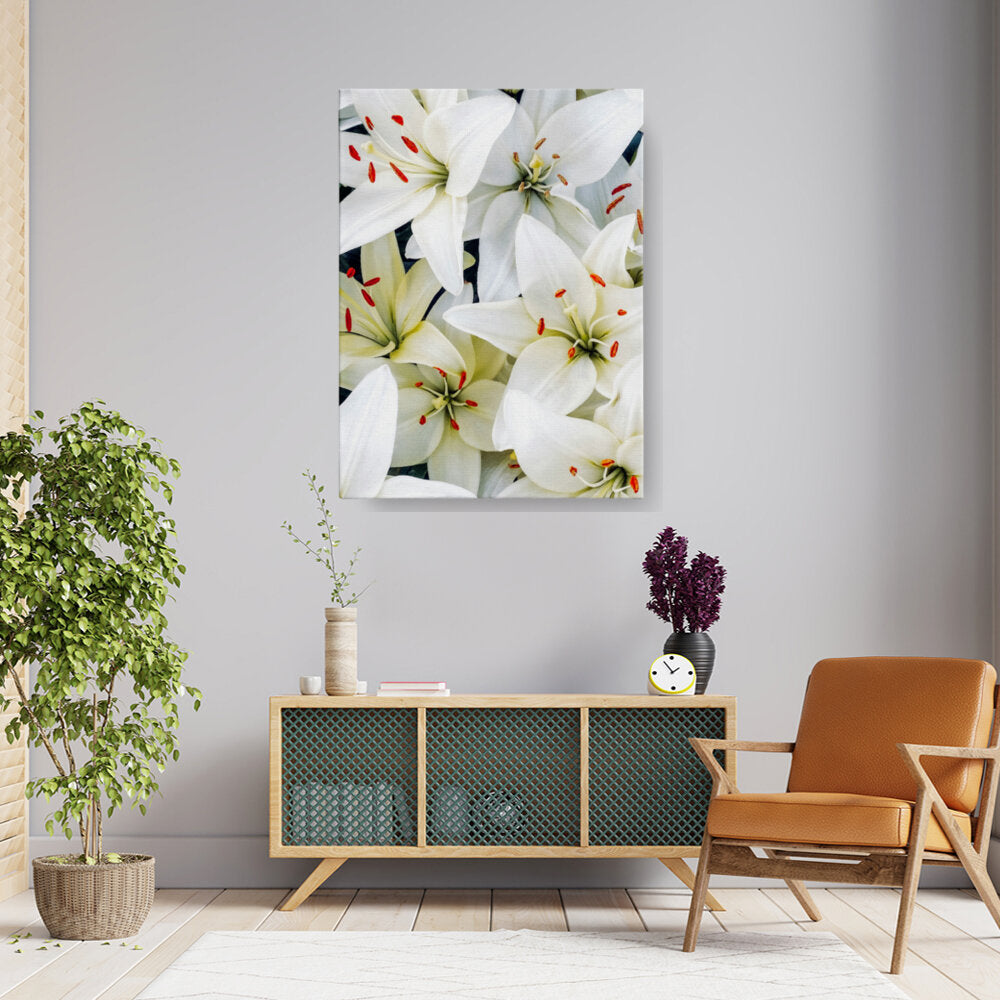 Lily And Hybrid Flower