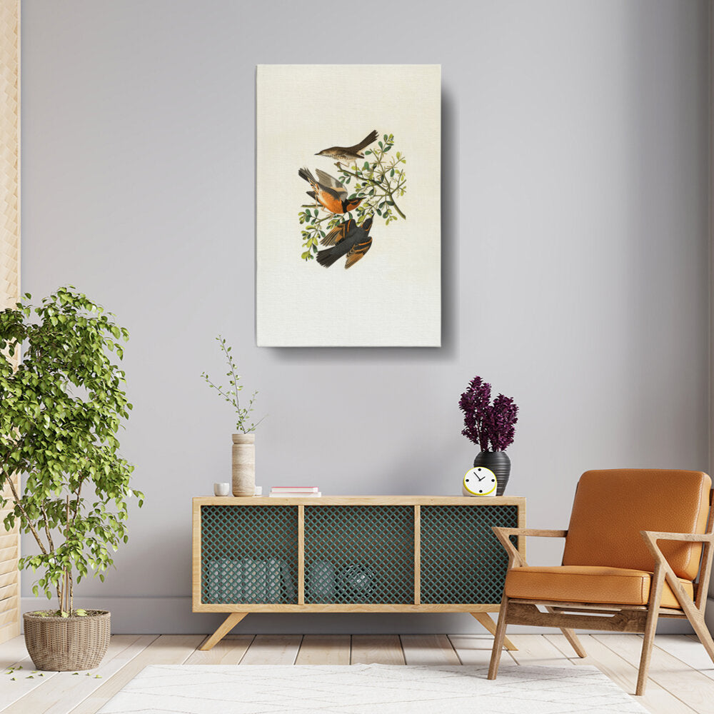 Vintage Colorful Birds