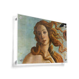 The Birth Of Venus - Acrylic Wall Photo