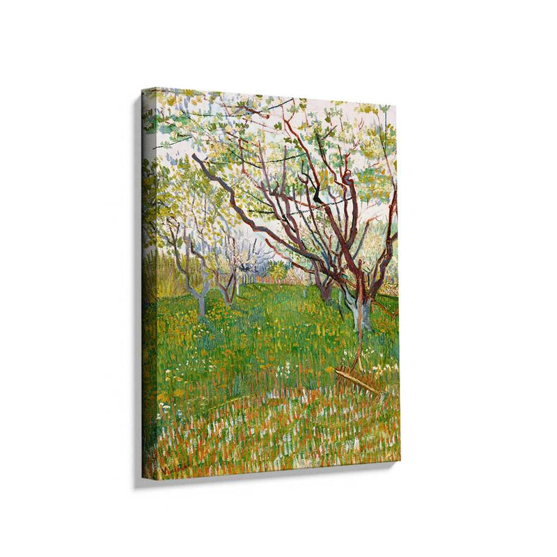 Picasoul - Picasoul Curated - Blossoming Orchard - Wall Decor