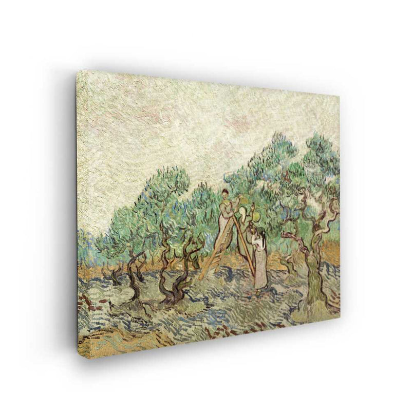 Picasoul - Picasoul Curated - Harvesting Olives - Wall Decor