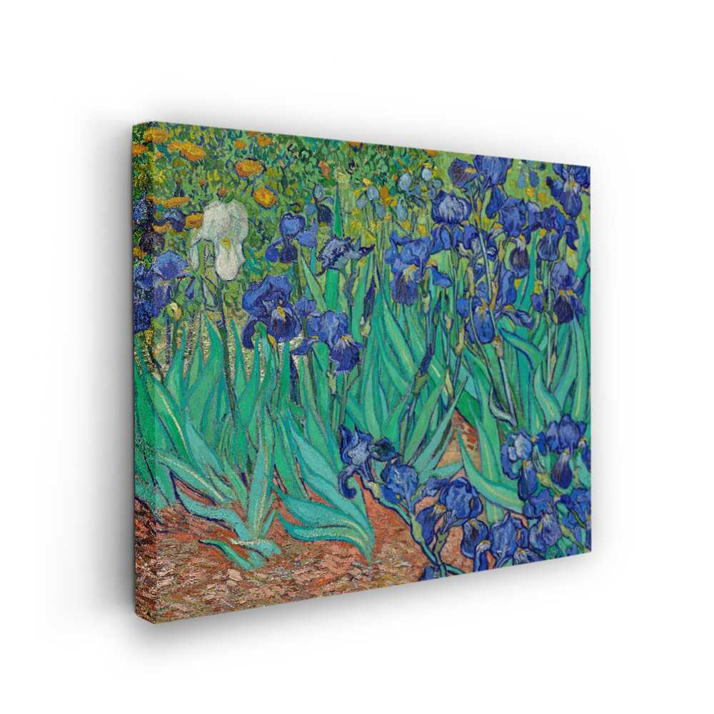 Picasoul - Picasoul Curated - Iris Bloom - Wall Decor