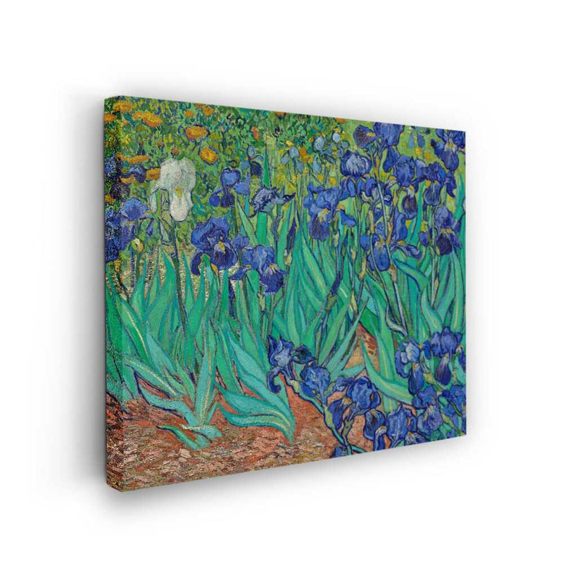Picasoul - Picasoul Curated - Iris Bloom - Wall Decor