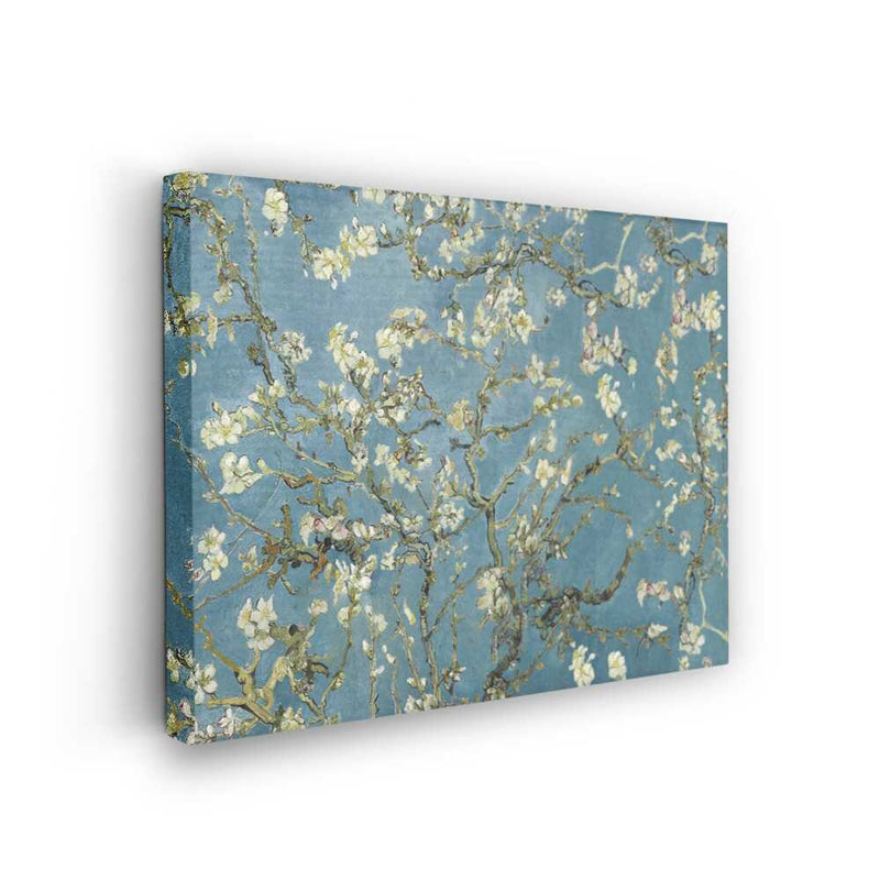 Picasoul - Picasoul Curated - Almond Blossom - Wall Decor