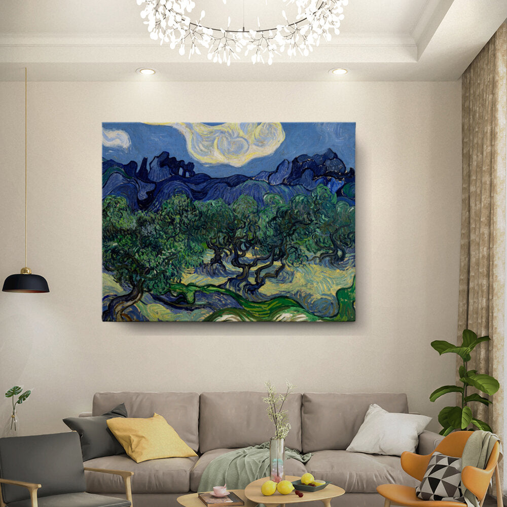 Olive Trees1