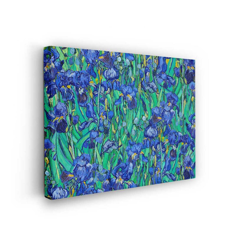 Picasoul - Picasoul Curated - Iris Field - Wall Decor
