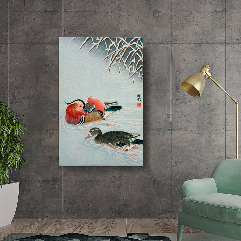 Elegant Ducks In Winter