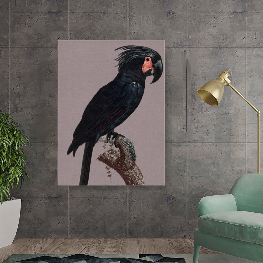 Majestic Black Bird
