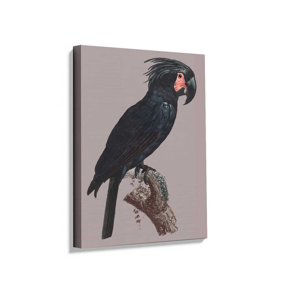Picasoul - Picasoul Curated - Majestic Black Bird - Wall Decor