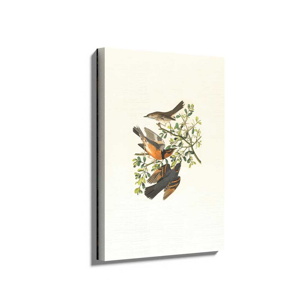Picasoul - Picasoul Curated - Birds On A Branch 2 - Wall Decor