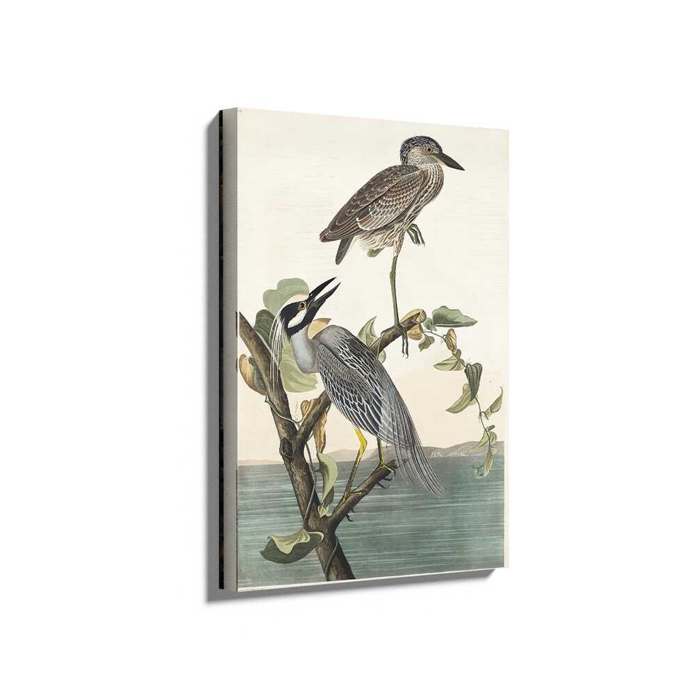 Picasoul - Picasoul Curated - Exotic Shorebirds - Wall Decor
