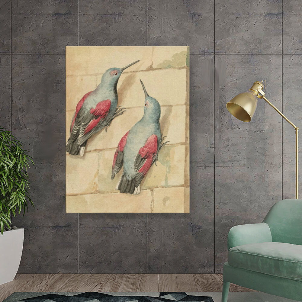 Two Colorful Birds