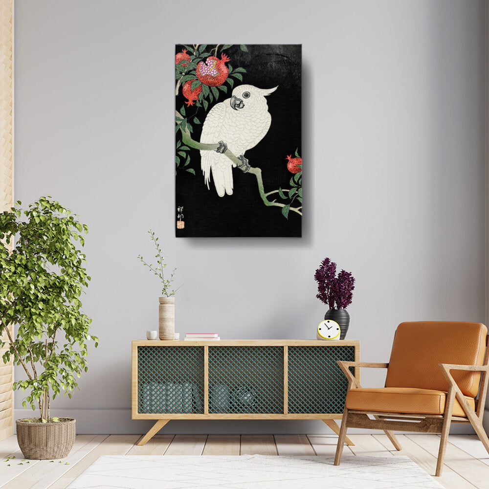 White Owl With Pomegranates