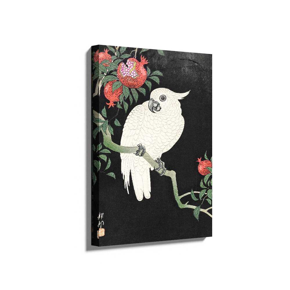 Picasoul - Picasoul Curated - White Owl With Pomegranates - Wall Decor