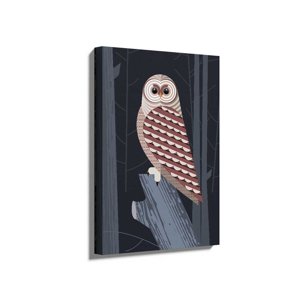 Picasoul - Picasoul Curated - Stylized Owl In The Woods - Wall Decor