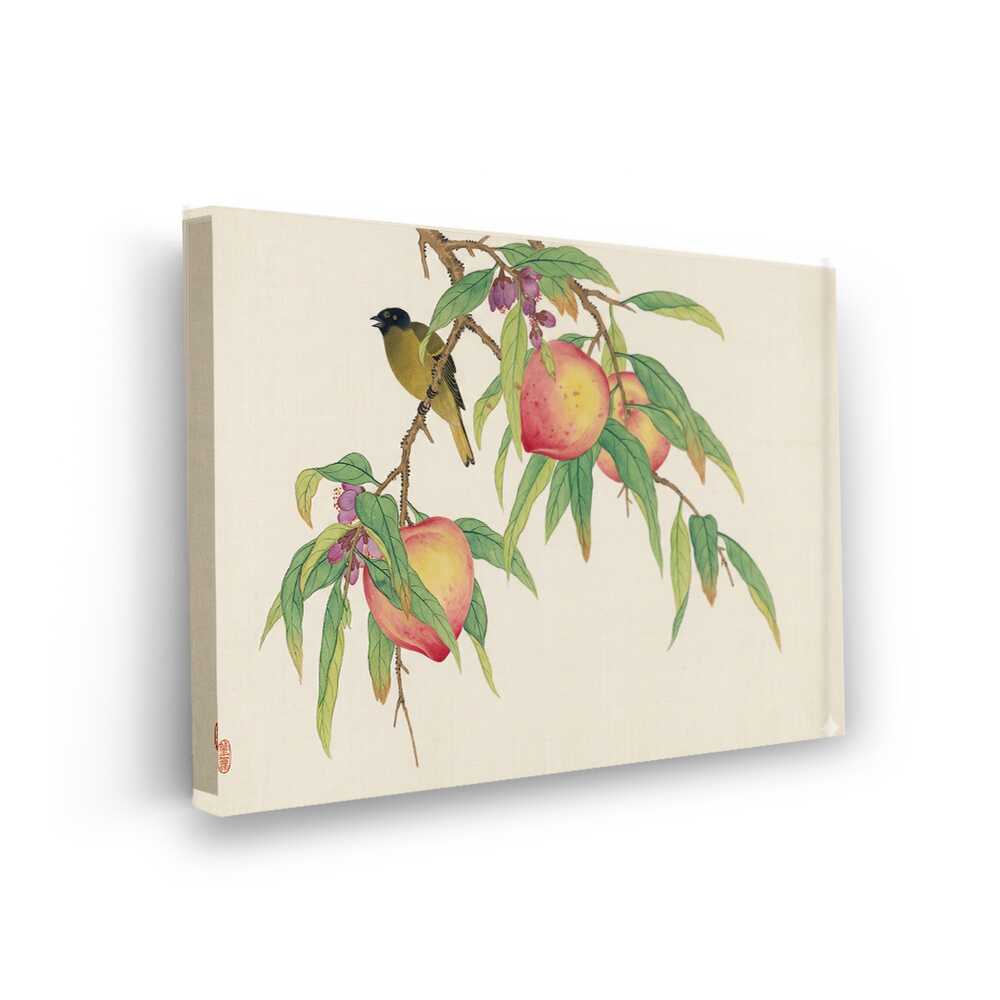 Picasoul - Picasoul Curated - Peach And Bird - Wall Decor
