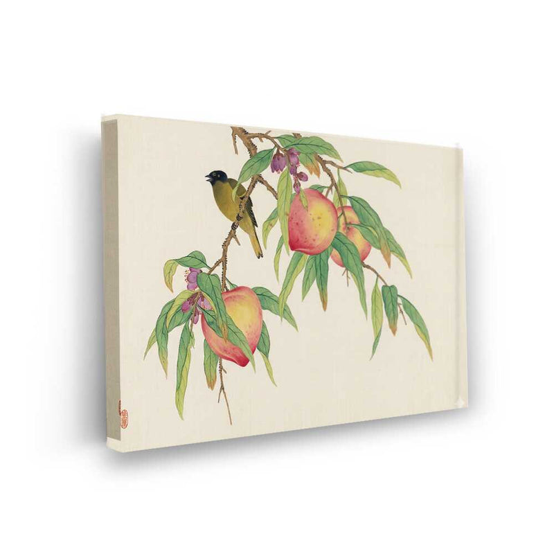 Picasoul - Picasoul Curated - Peach And Bird - Wall Decor