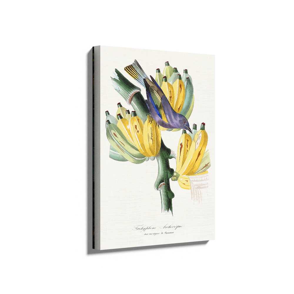 Picasoul - Picasoul Curated - Bird On Banana Plant - Wall Decor