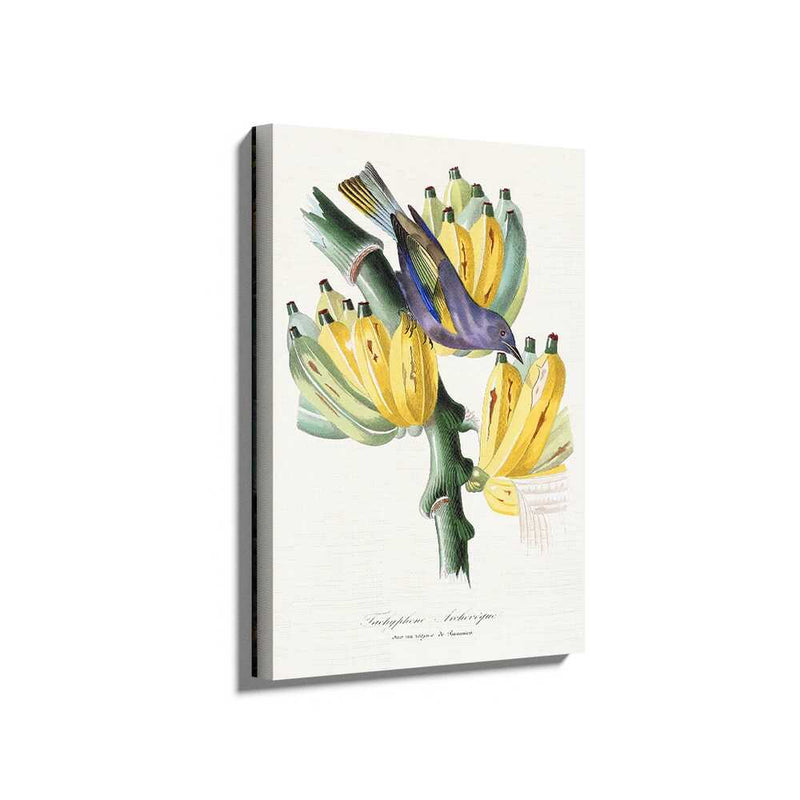 Picasoul - Picasoul Curated - Bird On Banana Plant - Wall Decor